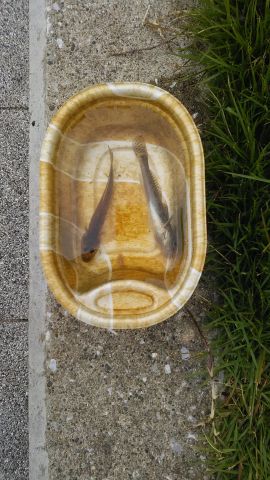 JPG 1836x3264 2320.0kb