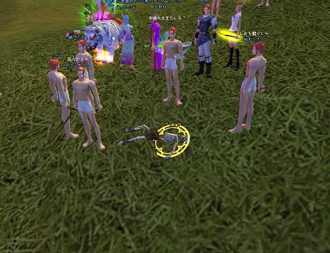  241.jpg