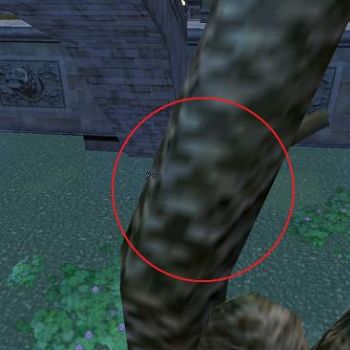 JPG 462x366 24.3kb
