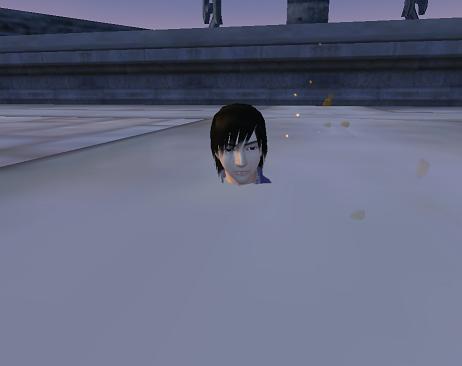  338.jpg