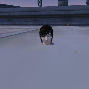 JPG 462x366 10.9kb
