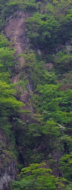 JPG 400x1052 117.9kb