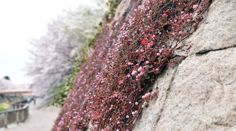 JPG 1500x837 303.2kb