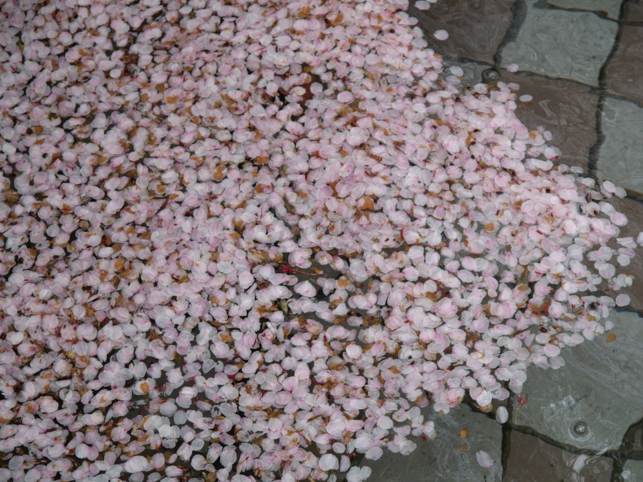  191.jpg
