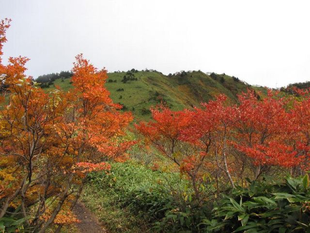 JPG 800x600 116.2kb