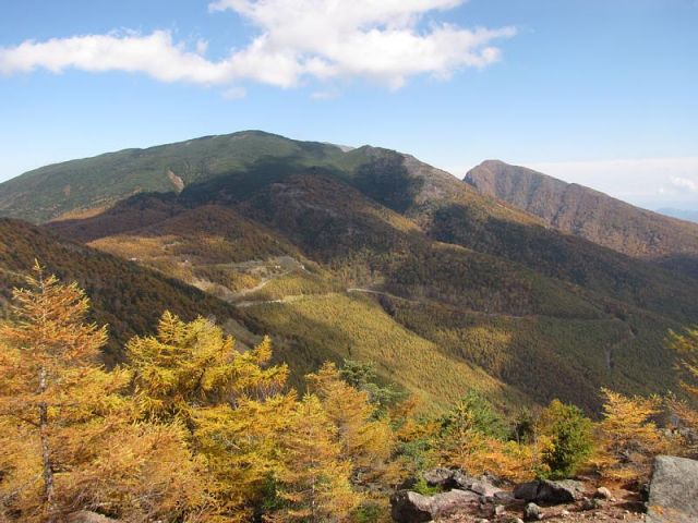 JPG 800x600 96.2kb