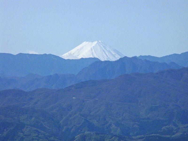  77.jpg