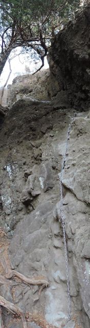 JPG 480x1744 191.7kb
