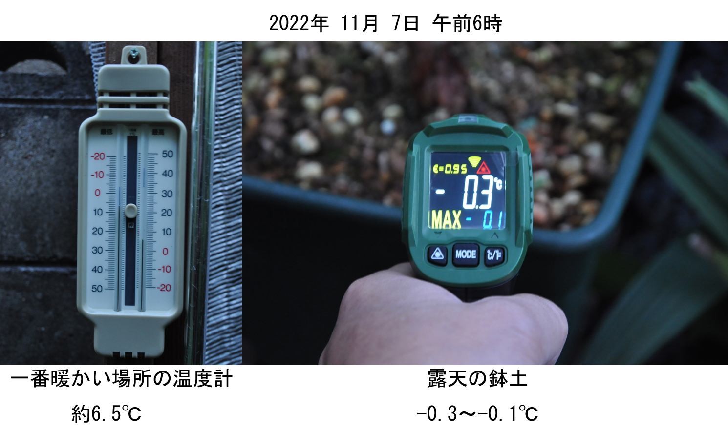  515.jpg