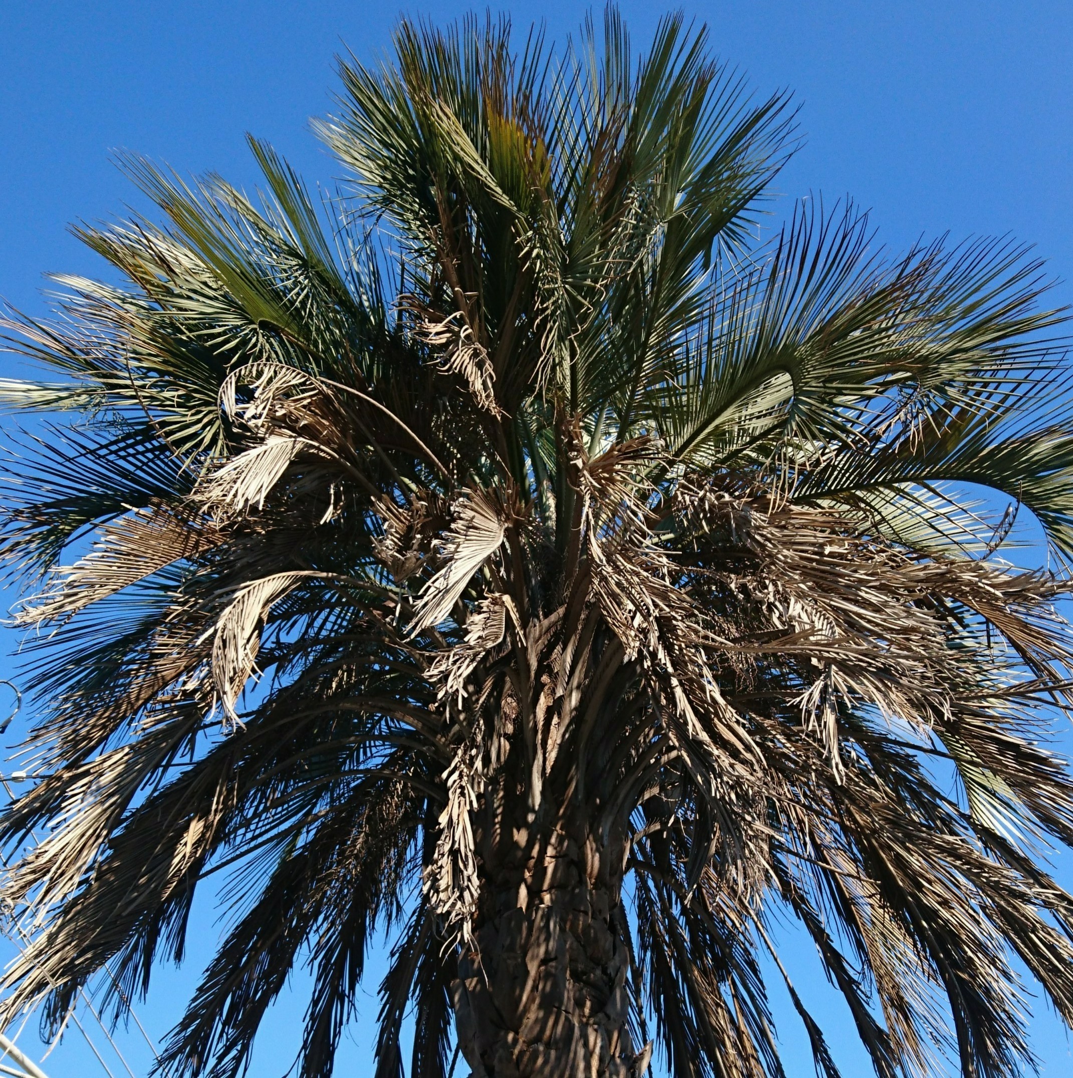  88.jpg