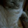 JPG 240x400 34.2kb