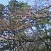 JPG 240x400 35.9kb