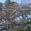 JPG 240x400 80.8kb
