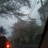 JPG 240x400 31.4kb