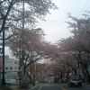 JPG 480x640 95.8kb