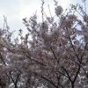 JPG 640x480 69.3kb