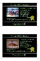 GIF 496x763 40.9kb