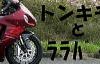 JPG 150x64 4.2kb