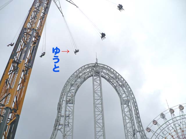  176.jpg