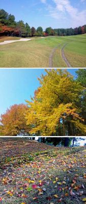 JPG 471x1112 169.5kb
