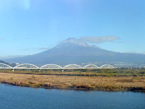  271.jpg