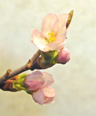 JPG 500x600 56.0kb