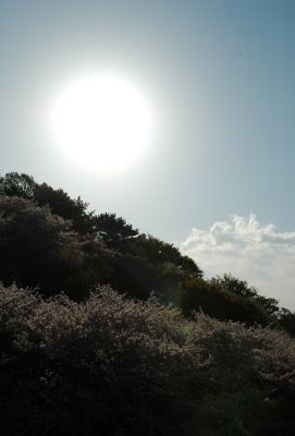 JPG 594x876 184.1kb