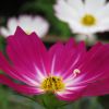 JPG 640x480 97.4kb