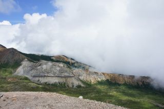 JPG 920x612 119.2kb