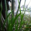 JPG 615x461 57.5kb