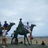 JPG 615x461 41.5kb