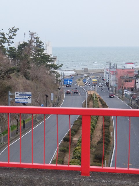  315.jpg
