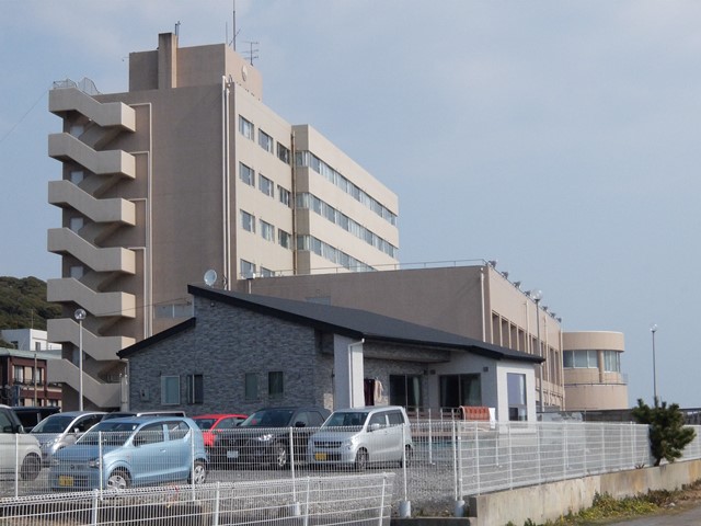  339.jpg