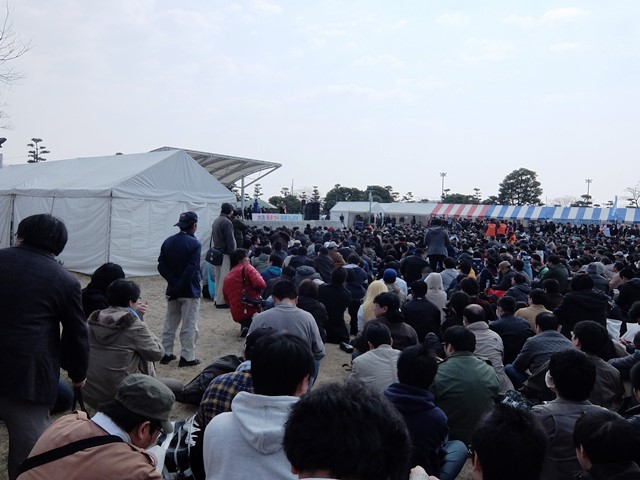 355.jpg