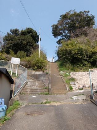 JPG 480x640 116.3kb