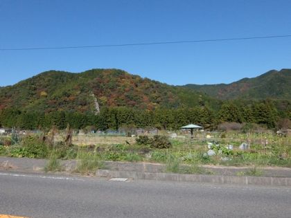 JPG 640x480 95.0kb