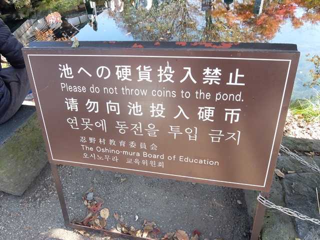  600.jpg