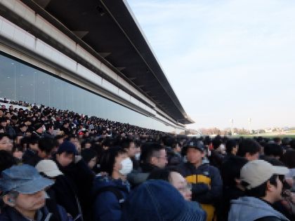JPG 4000x3000 4660.2kb