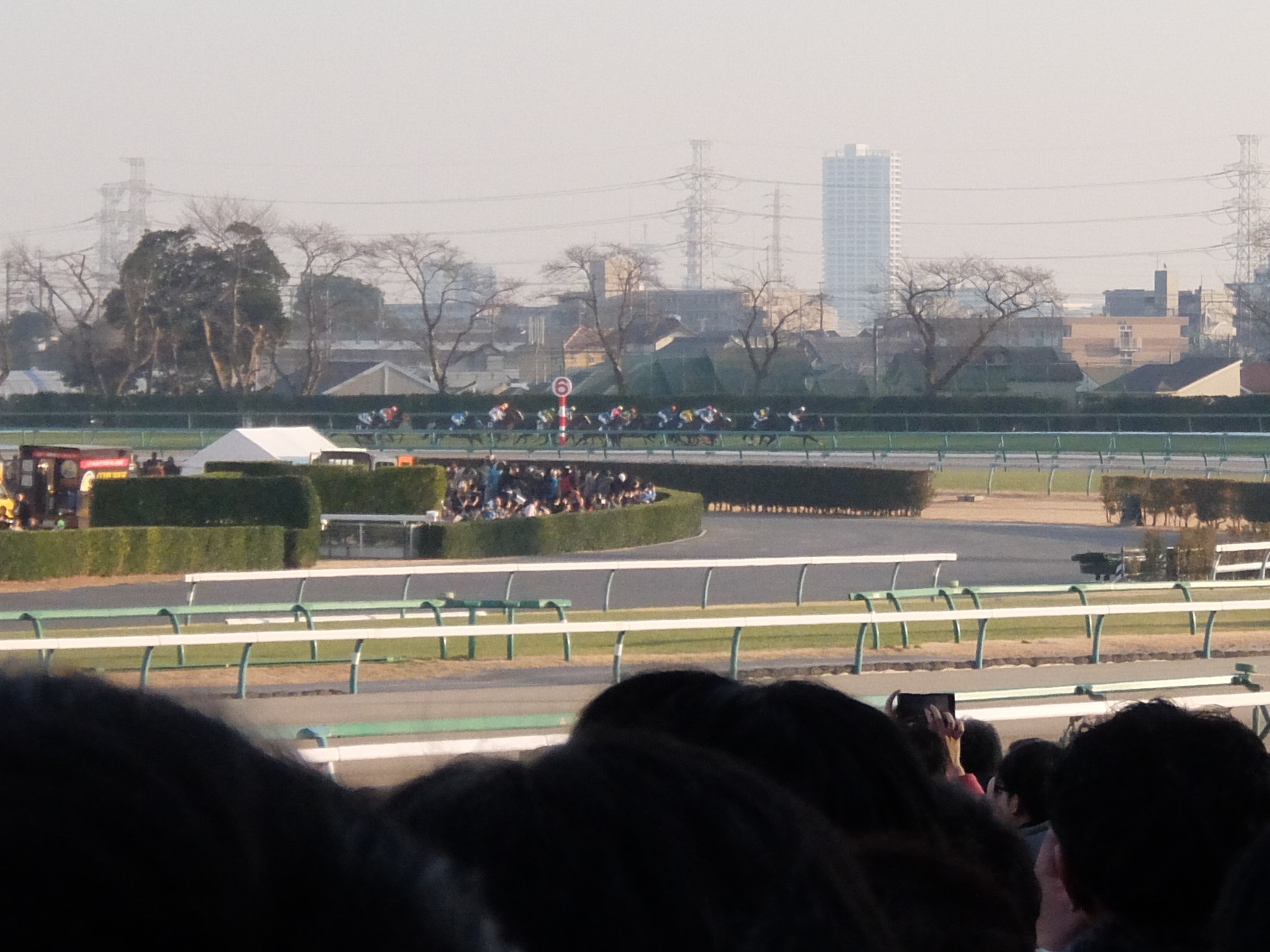  613.jpg