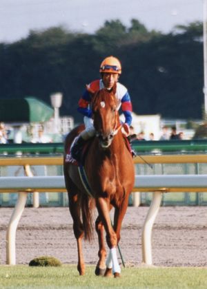 JPG 471x659 226.9kb
