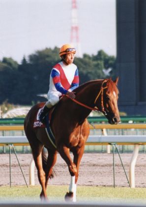 JPG 469x663 215.1kb