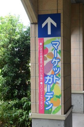JPG 424x640 222.6kb