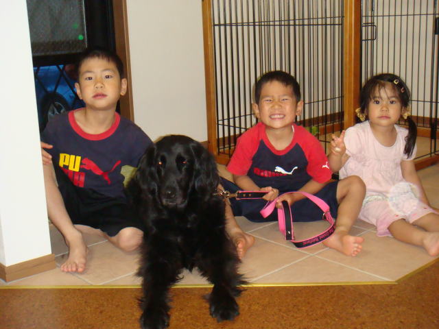  850.jpg