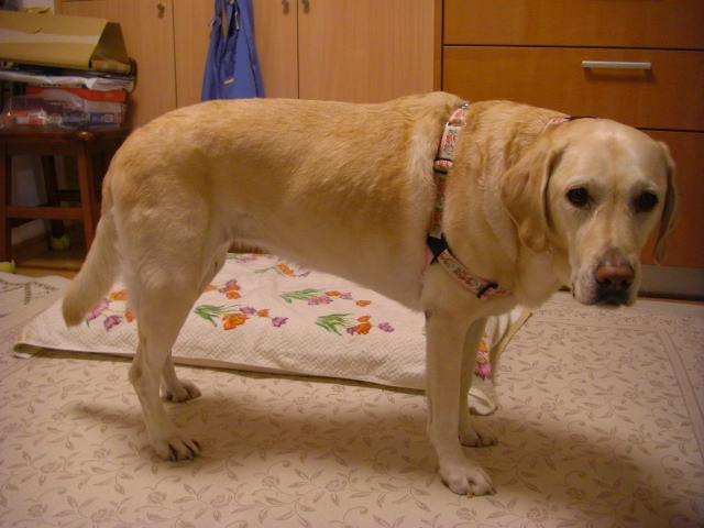  880.jpg