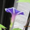 JPG 640x426 46.3kb