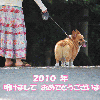 GIF 598x394 110.9kb