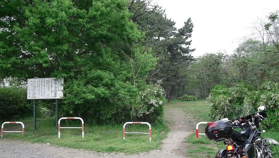  156.jpg