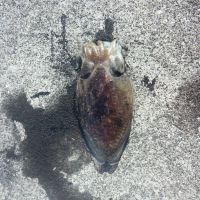 JPG 2048x1536 1301.1kb