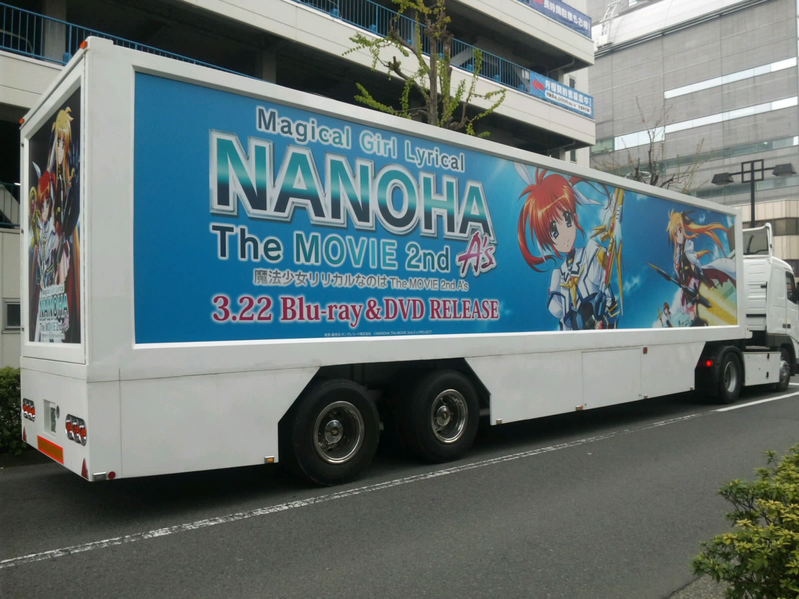  2911.jpg