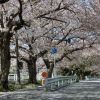 JPG 602x449 168.2kb
